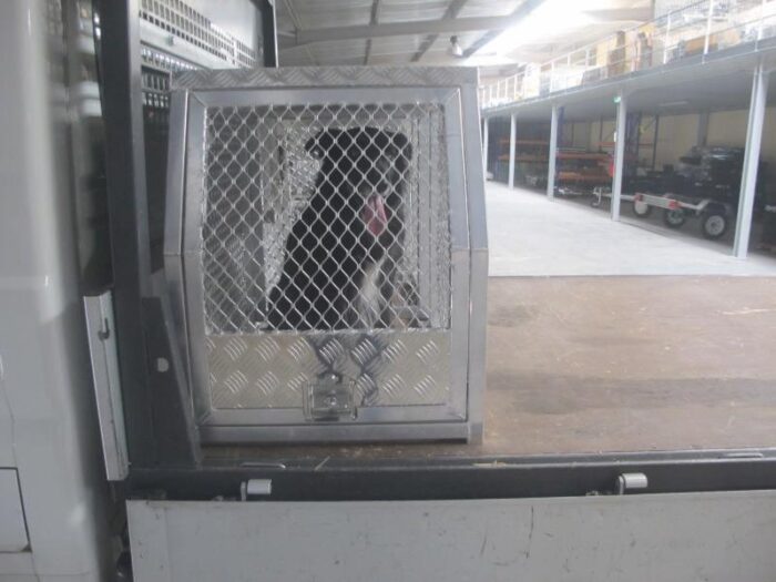 Coffre aluminium transport chien 1770x700x850 mm - Sécurité et confort – Image 3